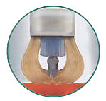 access_oral_care_brush.jpg